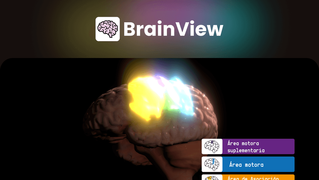 BrainView - 0