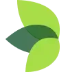 single_icon_10c263087f.webp
